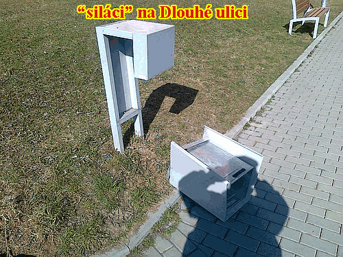 silaci